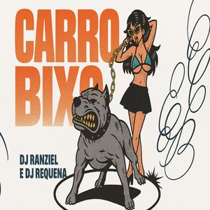 MEGA FUNK (CARRO BIXO) (feat. DJ Requena)