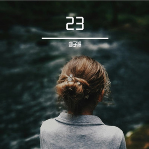 23