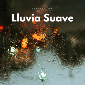 Vibra De Lluvia Zen