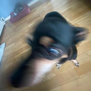 te vann uten te, hint av zalo