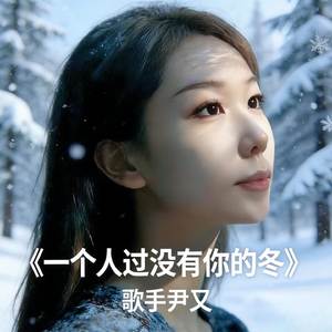 一个人过没有你的冬