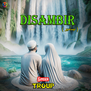 Disambir