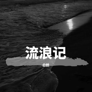 流浪记