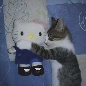 难爱（prod by Venkey）