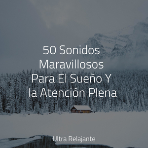 Rocío Ámbar Matutino