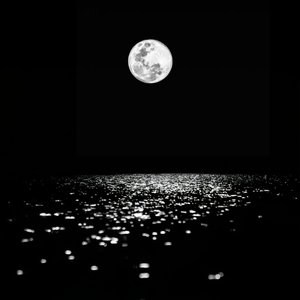 没有名字（prod by MoDi_dx1）