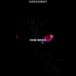 微妙的压力大的猫心情