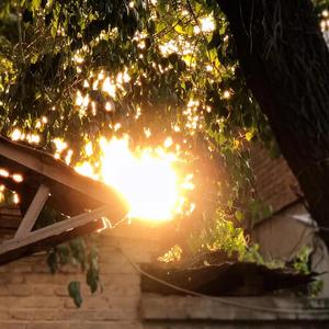 五月二十一日的明天