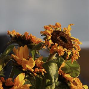 For Myself (prod. Dia Beatz)