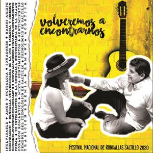 No te he podido olvidar