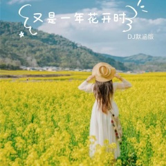 又是一年花开时-雨中百合 (伴奏)(DJ默涵版)