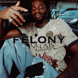 Free Omah Lay x Afro Type Beat “Felony”
