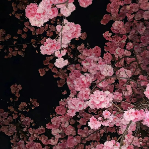 也许我词不达意，但我很开心遇见你