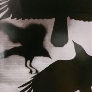 Teaching Ghosts to Sing