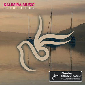 Is This What You Want (Mikael Borgi Remix)