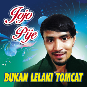 Bukan Lelaki Tomcat