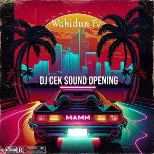 DJ CEK SOUND OPENING WAJIB DIMILIKI SOUND ENGINEER