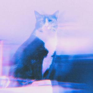 early sunsets over monroeville