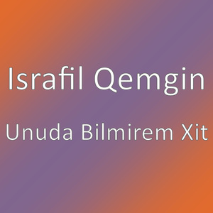 Unuda Bilmirem Xit