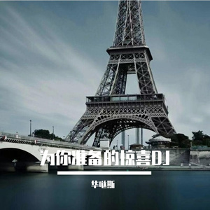 为你准备的惊喜DJ