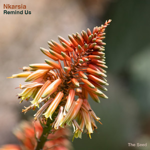 Euphémisme (Original Mix)