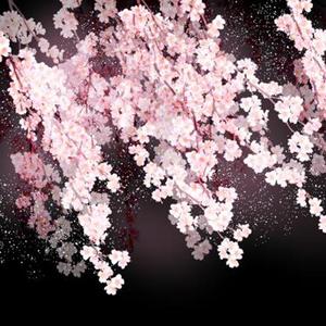 【Free】日式和风trap