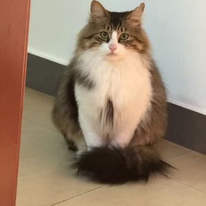 短暂交汇의星轨