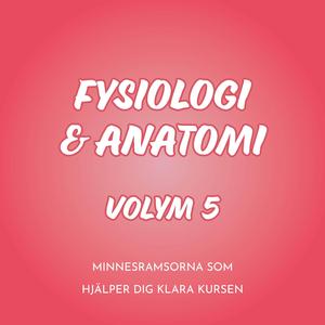 Lung och systemkretsloppet