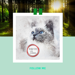 팻다운게 대체 뭔가요