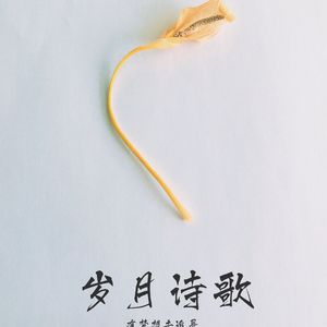 岁月诗歌 cover