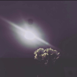 Rekindled Hearts Left Behind