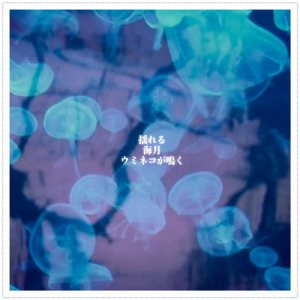 揺れる、海月、ウミネコが鳴く