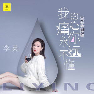 我的心痛你永远不懂 (DJ小刚版)