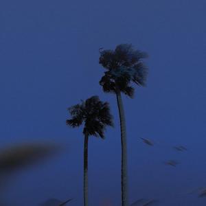 下个路口再见吧