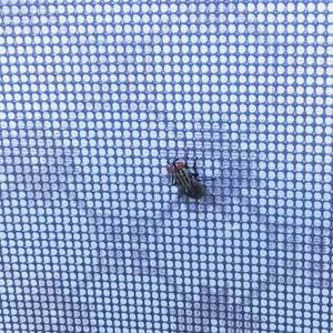 Pretend Pedal (the road to the death)