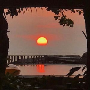 达尔文·2022_大古子_