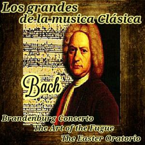 Orchestral Suite No.4 in D Major, BWV 1069: VII. Réjouissance