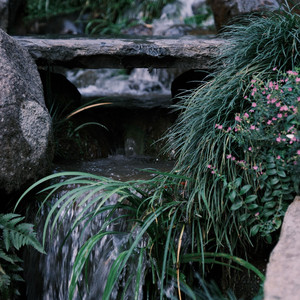 五音和韵（舒缓纯音乐）