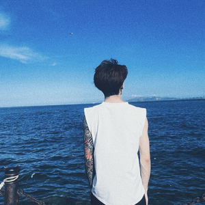 我借月光写下你