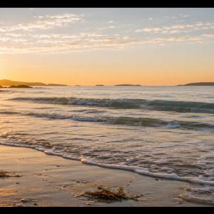 Morning Tide