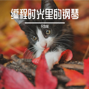 编程时光里的钢琴