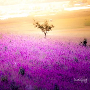 헤어질 걸 알기에