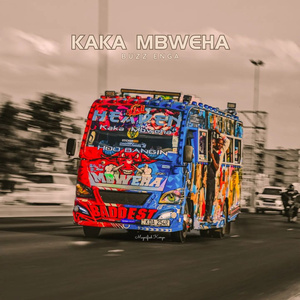 Kaka Mbweha