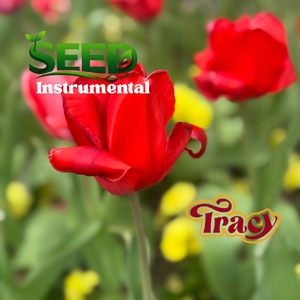 Seed Instrumental
