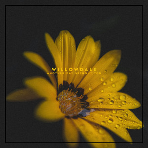 Another Day Whithout You