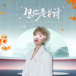 想你是首诗 (DJ阿尼版)