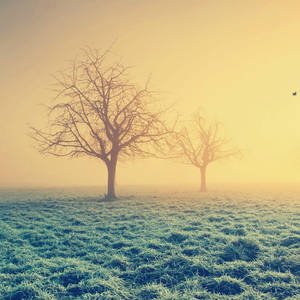 守候 (电视剧《天地传奇》片尾曲)