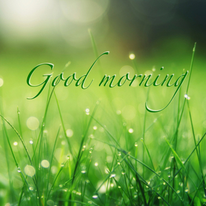 Good Morning (feat. 화평)