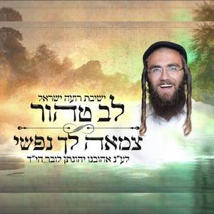 לב טהור (פיטסבורג) - צמאה לך נפשי (בעלזא) | ישיבת רועה ישראל