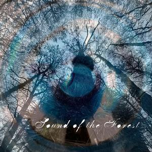 Sound of the Forest